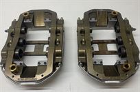 beautiful-pair-of-ap5970-102103-endurance-cal