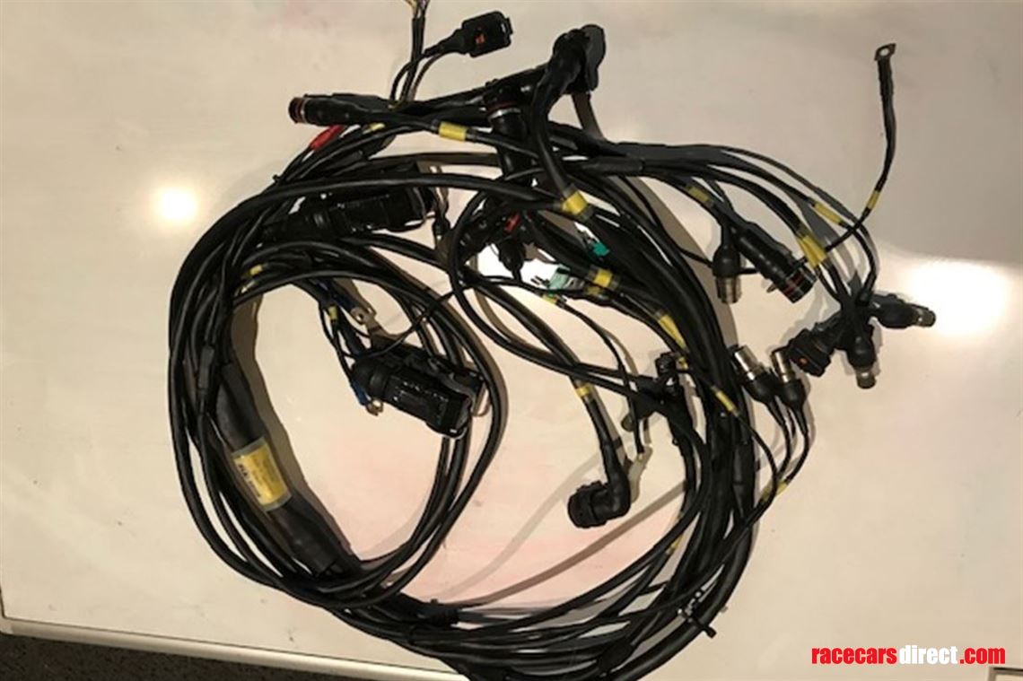 dallara-f308-chassis-loom