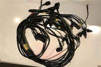 dallara-f308-chassis-loom