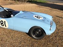 highly-competitive-elva-courier-with-multiple