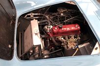 highly-competitive-elva-courier-with-multiple