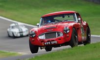 austin-healey-3000-well-known-highly-competit
