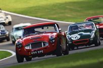 austin-healey-3000-well-known-highly-competit