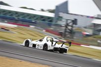 radical-sr3rs