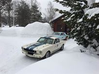 ford-mustang-shelby-gt350