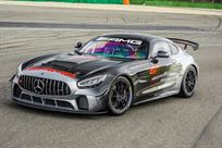 wanted-mercedes-amg-gt4
