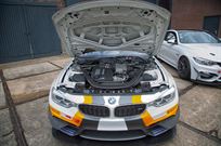 bmw-m4-gt4-ekris-f82