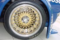 zakspeed-ford-escort-ii-group-4