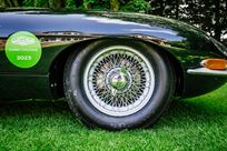 pre-63-flat-floor-fia-e-type-with-fresh-sigma