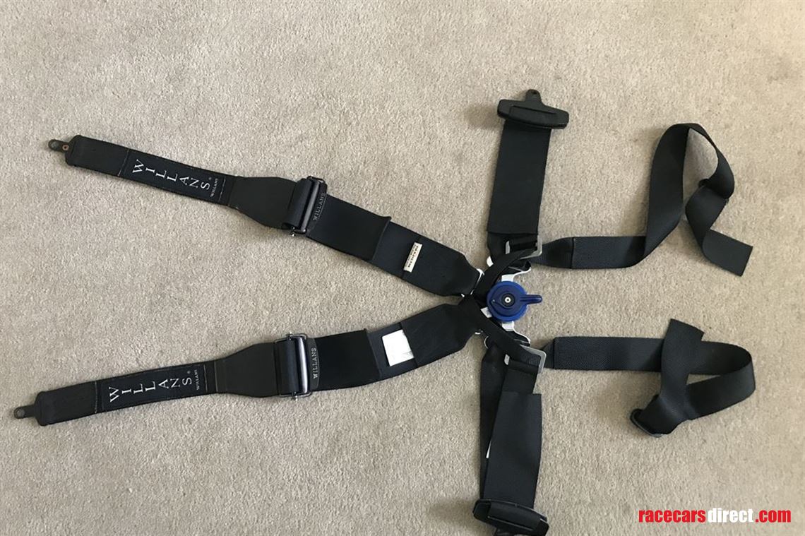 willans-single-seater-harness