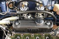 morris-mini-cooper-fia-1964