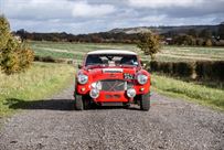 austin-healey-3000-mk1-bmc-works-replica