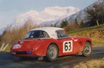 austin-healey-3000-mk1-bmc-works-replica