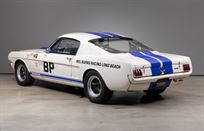 ford-mustang-shelby-gt350--fia-racerallye-car