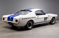 ford-mustang-shelby-gt350--fia-racerallye-car