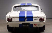 ford-mustang-shelby-gt350--fia-racerallye-car