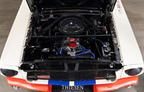 ford-mustang-shelby-gt350--fia-racerallye-car