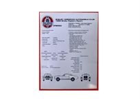 ford-mustang-shelby-gt350--fia-racerallye-car