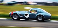 1964-2014-shelby-fia-cobra