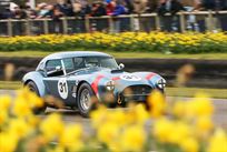 1964-2014-shelby-fia-cobra