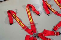ferrari-challenge-sabelt-race-harness-set