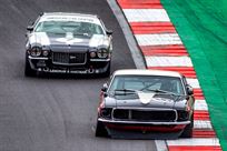 ford-mustang-boss-302-fia-specification