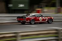 ford-mustang-boss-302-fia-specification