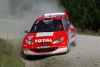 2001-peugeot-206-wrc-evo-2