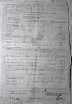 sandro-munari-works-alfa-romeo-gtv6-autodelta