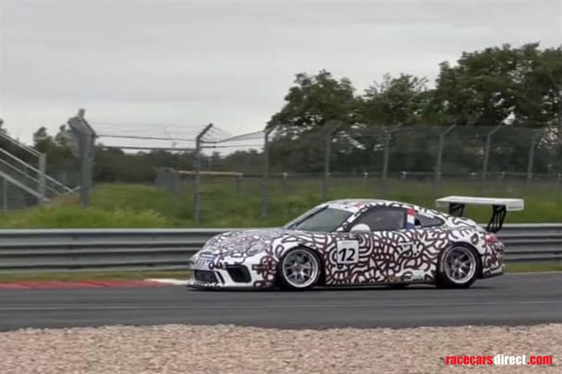 911-gt3-cup---type-991-phase-2---ex-nicolas-m