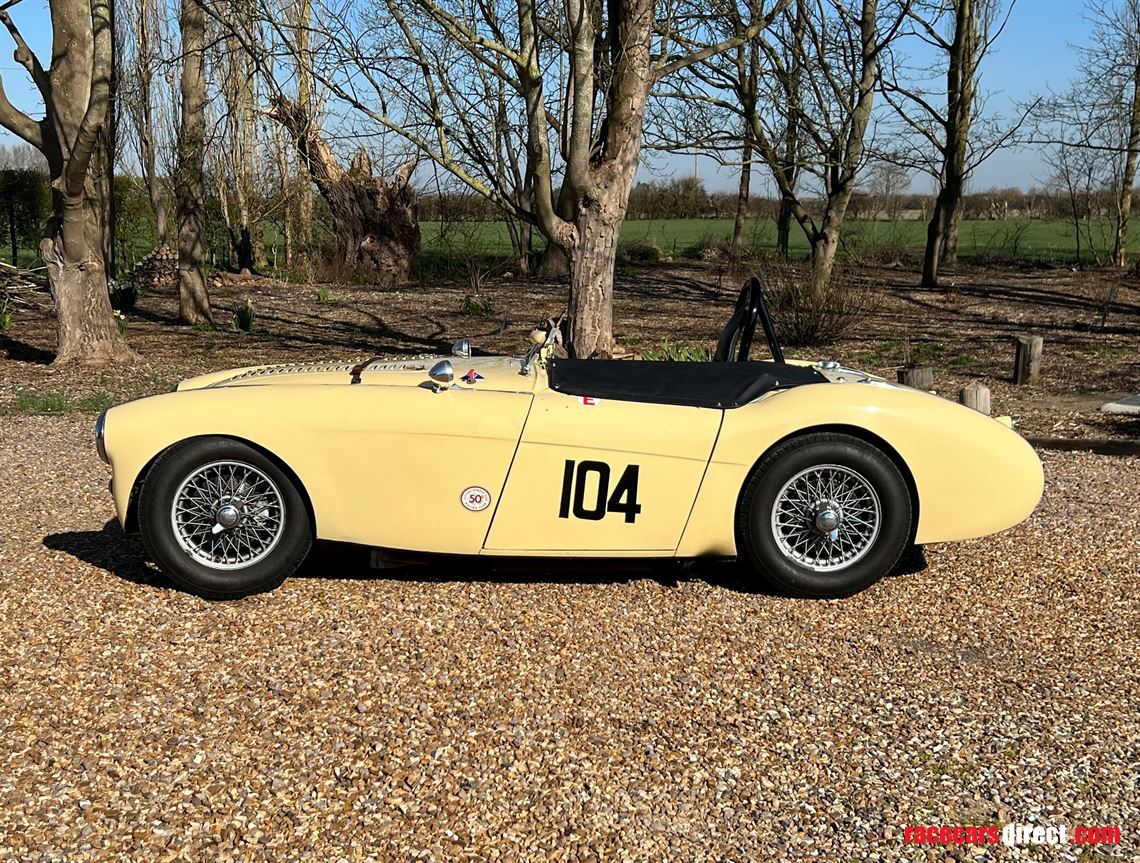 austin-healey-100-race-car