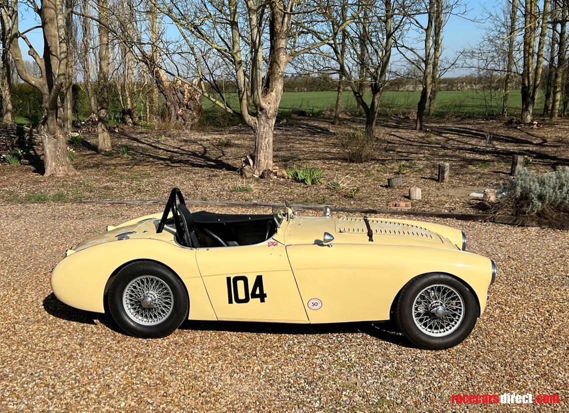 austin-healey-100-race-car