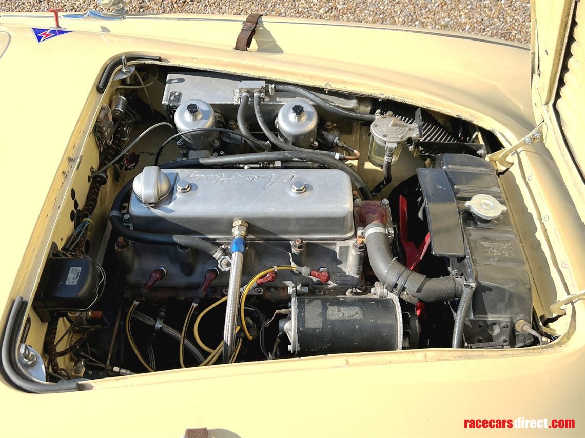 austin-healey-100-race-car