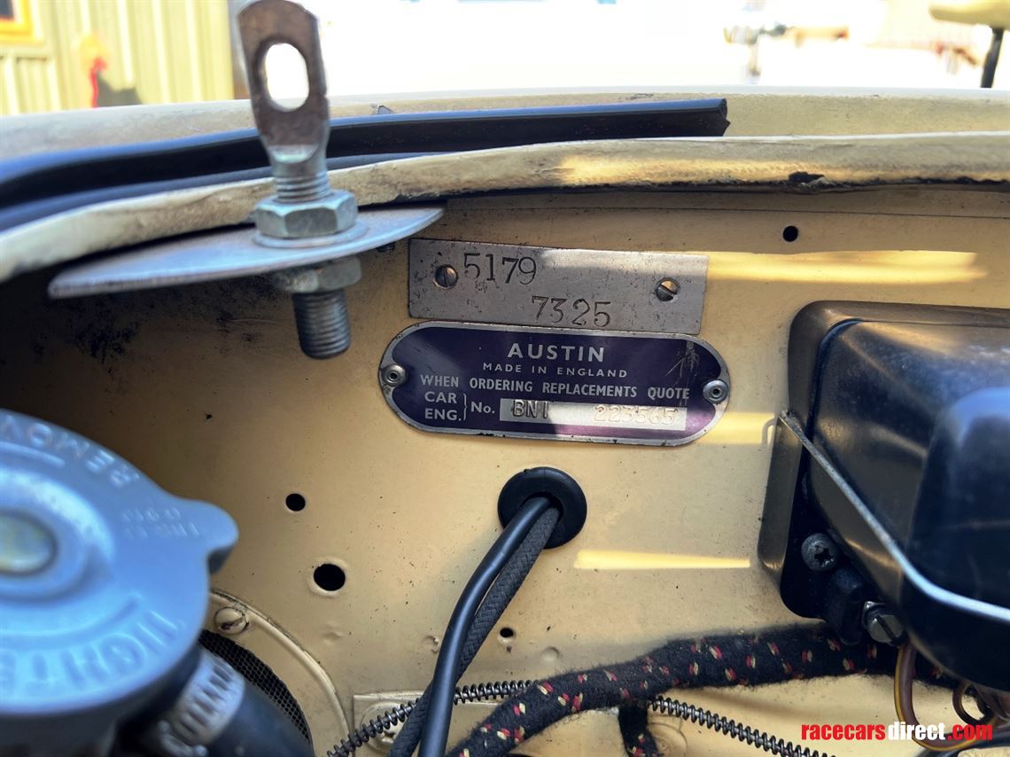 austin-healey-100-race-car