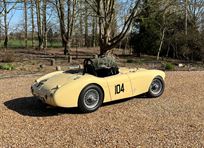 austin-healey-100-race-car