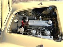 austin-healey-100-race-car