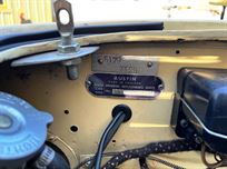 austin-healey-100-race-car