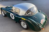 austin-healey-3000-fia-new