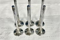 6-intake-valves-engine-bmw-m127-f2