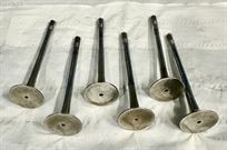 6-used-original-exhaust-valves-bmw-m3-s14-dtm