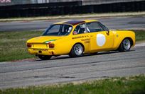 alfa-romeo-gtam-monzeglio-replica