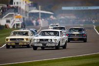 1965-ford-mustang-race-car
