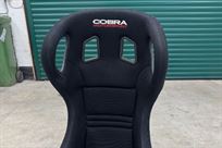 cobra-evolution-t-gt-fia-competition-bucket-s