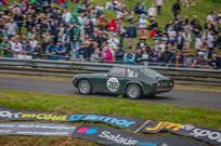 mg-midget-lenham-le-mans