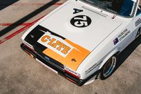 1982-group-a-ford-capri