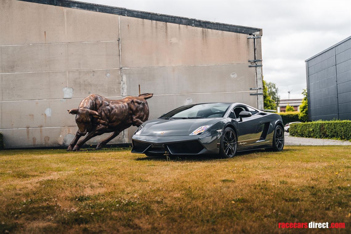 lamborghini-bull