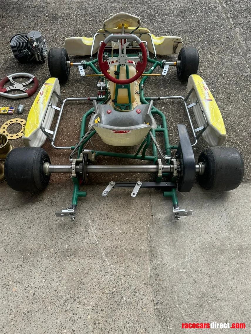 tony-kart-racing-kart-for-children-model-race