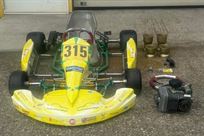 tony-kart-racing-kart-for-children-model-race