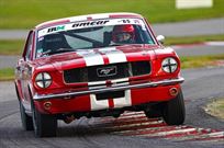 ford-mustang-289cid-v8-360-man-fia-approved-2