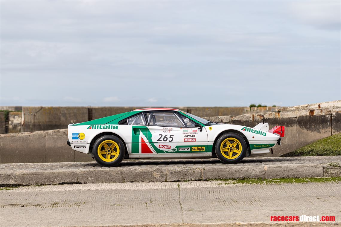 1980---ferrari-308-gr-4-r-fia